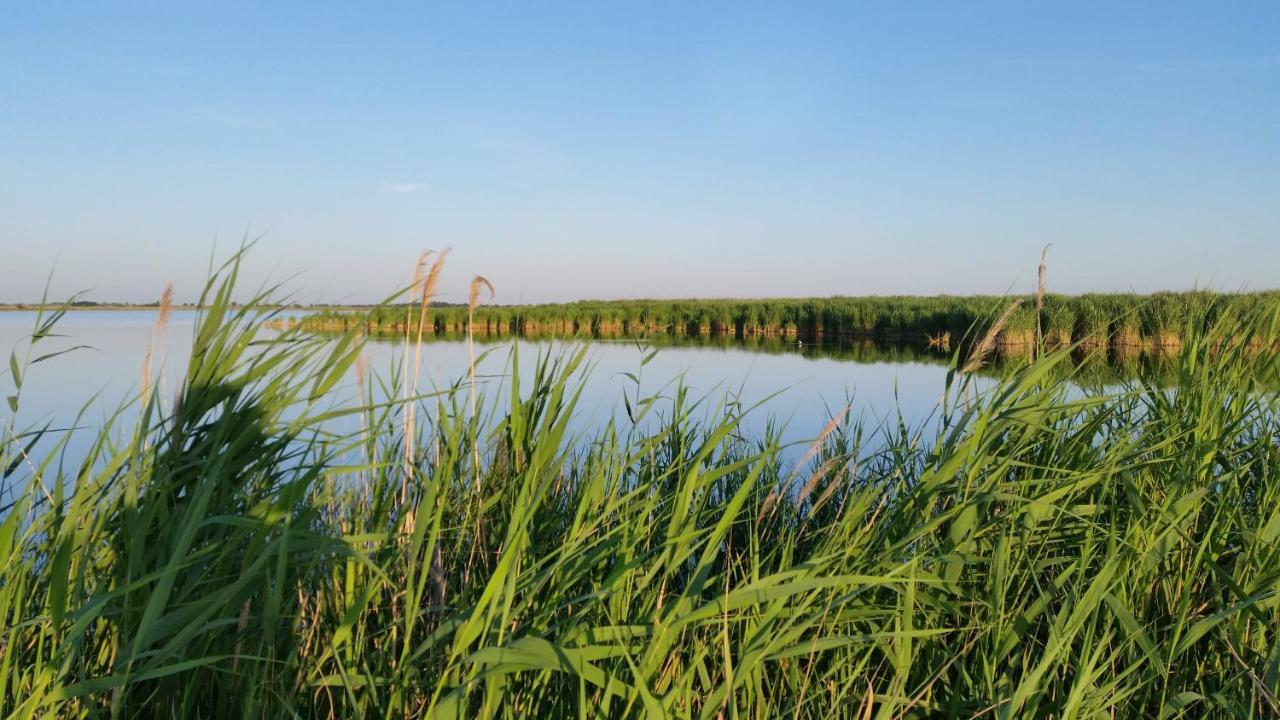 Arkadenhof Zur Puszta Graf Hotel Illmitz Ngoại thất bức ảnh