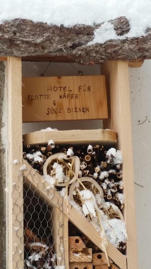 Arkadenhof Zur Puszta Graf Hotel Illmitz Ngoại thất bức ảnh